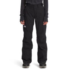 The North Face Women's Freedom Insulated Pant (Long)